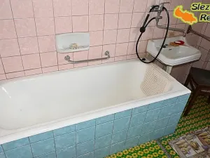 Prodej rodinného domu, Ostrava, Proskovická, 310 m2