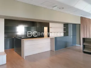 Pronájem obchodního prostoru, Brno, 214 m2