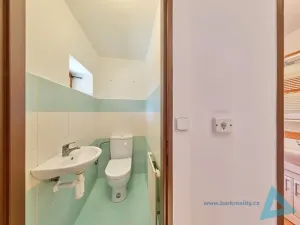 Prodej rodinného domu, Pecka - Bělá u Pecky, 250 m2