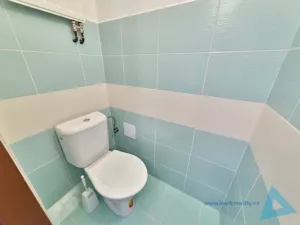 Prodej rodinného domu, Pecka - Bělá u Pecky, 250 m2