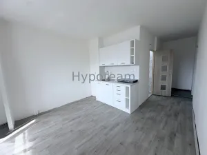 Pronájem bytu 1+1, Ústí nad Labem - Neštěmice, Sibiřská, 42 m2
