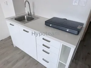 Pronájem bytu 1+1, Ústí nad Labem - Neštěmice, Sibiřská, 42 m2