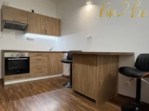 Pronájem bytu 1+kk, Ostrov - Horní Žďár, 28 m2