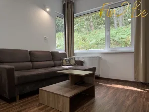 Pronájem bytu 1+kk, Ostrov - Horní Žďár, 28 m2