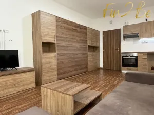 Pronájem bytu 1+kk, Ostrov - Horní Žďár, 28 m2
