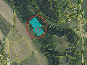 Prodej lesa, Všelibice, 12954 m2