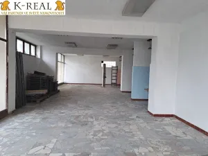 Pronájem skladu, Svatoslav, 420 m2