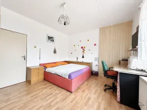 Prodej rodinného domu, Stradouň, 104 m2