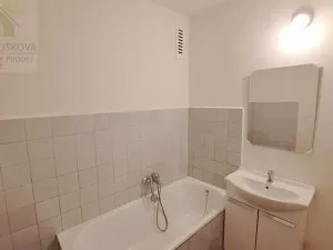 Pronájem bytu 1+1, Ostrava, Pavlovova, 39 m2