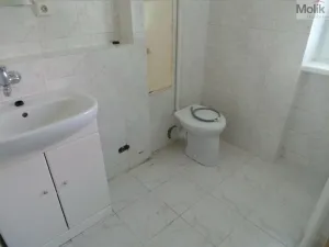 Prodej bytu 1+1, Meziboří, Okružní, 44 m2