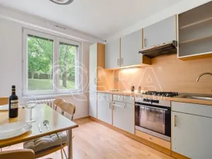 Pronájem bytu 3+1, Nový Jičín, Nerudova, 68 m2