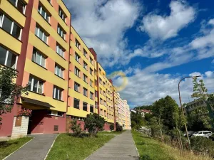 Pronájem bytu 2+1, Český Krumlov, Sídliště Plešivec, 58 m2
