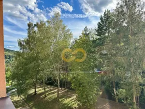 Pronájem bytu 2+1, Český Krumlov, Sídliště Plešivec, 58 m2