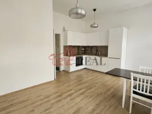 Pronájem bytu 2+kk, Praha - Žižkov, Kubelíkova, 40 m2