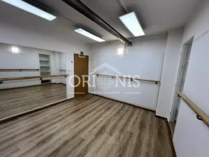 Pronájem ordinace, Chomutov, Na Příkopech, 16 m2