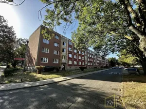 Prodej bytu 2+1, Bílina - Teplické Předměstí, M. Švabinského, 53 m2