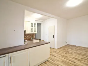 Pronájem bytu 2+kk, Líně, Plzeňská, 42 m2