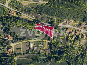 Prodej lesa, Halenkovice, 1620 m2