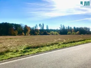 Prodej komerčního pozemku, Želetava - Šašovice, 1354 m2