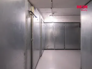 Prodej obchodního prostoru, Praha - Žižkov, Biskupcova, 54 m2