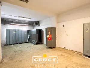 Prodej komerční nemovitosti, Žatec, nám. Prokopa Malého, 650 m2
