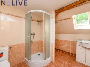 Prodej rodinného domu, Tužice, 234 m2
