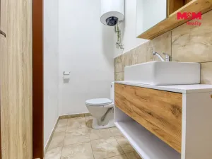 Prodej obchodního prostoru, Černošín, 1100 m2