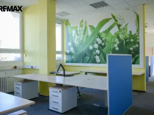 Pronájem kanceláře, Hradec Králové - Věkoše, Akademika Bedrny, 315 m2