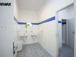 Pronájem kanceláře, Hradec Králové - Věkoše, Akademika Bedrny, 315 m2