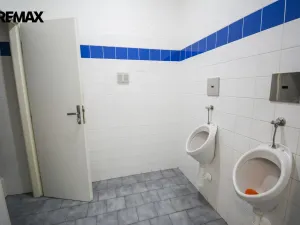 Pronájem kanceláře, Hradec Králové - Věkoše, Akademika Bedrny, 315 m2