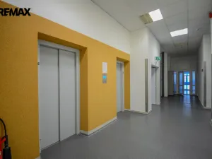 Pronájem kanceláře, Hradec Králové - Věkoše, Akademika Bedrny, 171 m2