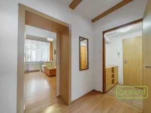 Prodej bytu 1+1, Karlovy Vary, Závodu míru, 37 m2