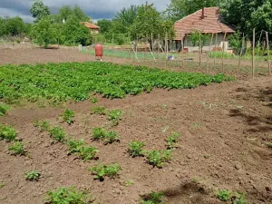 Prodej rodinného domu, Pavel, Bulharsko, 80 m2