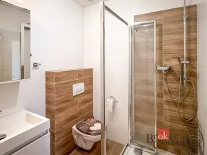 Prodej bytu 2+kk, Plzeň - Lhota, K Remízku, 57 m2