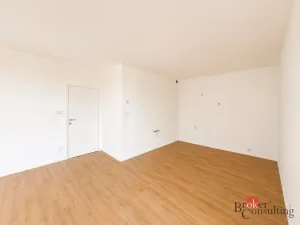 Prodej bytu 2+kk, Plzeň - Jižní Předměstí, Železná, 58 m2