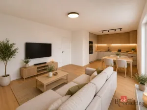 Prodej bytu 2+kk, Plzeň - Jižní Předměstí, Železná, 58 m2