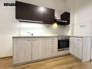 Pronájem bytu 1+1, Olomouc, Edisonova, 35 m2