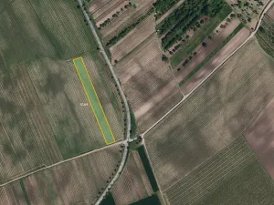 Prodej sadu/vinice, Kobylí, 17433 m2