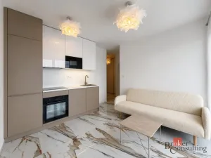 Pronájem bytu 2+kk, Plzeň - Jižní Předměstí, Železná, 36 m2