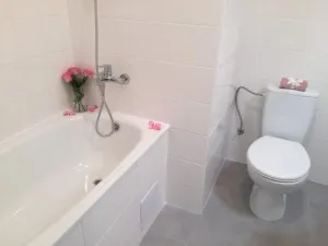 Prodej bytu 2+kk, Ostrava - Hrabůvka, Dr. Martínka, 36 m2