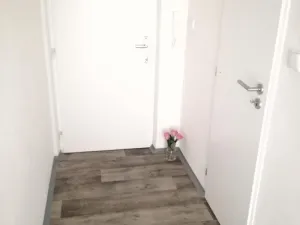 Prodej bytu 2+kk, Ostrava - Hrabůvka, Dr. Martínka, 36 m2