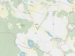 Dražba lesa, Volfířov, 705 m2