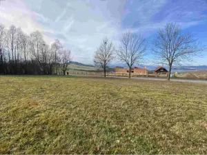Dražba louky, Černá v Pošumaví, 2972 m2