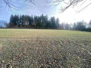 Dražba louky, Černá v Pošumaví, 2972 m2