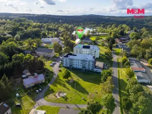 Prodej bytu 3+1, Nová Ves, 59 m2