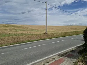 Prodej pozemku pro bydlení, Ježkovice, 4020 m2