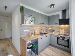 Pronájem bytu 2+1, Most, Hutnická, 51 m2