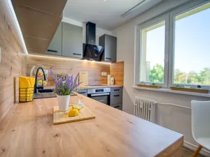 Pronájem bytu 2+1, Most, Hutnická, 51 m2