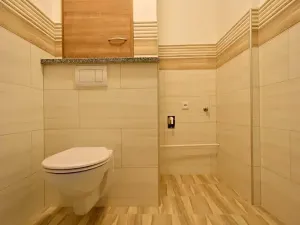 Pronájem bytu 1+1, Přerov, Purkyňova, 41 m2