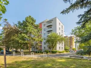 Prodej bytu 2+1, Dobříš, Za Branou, 67 m2